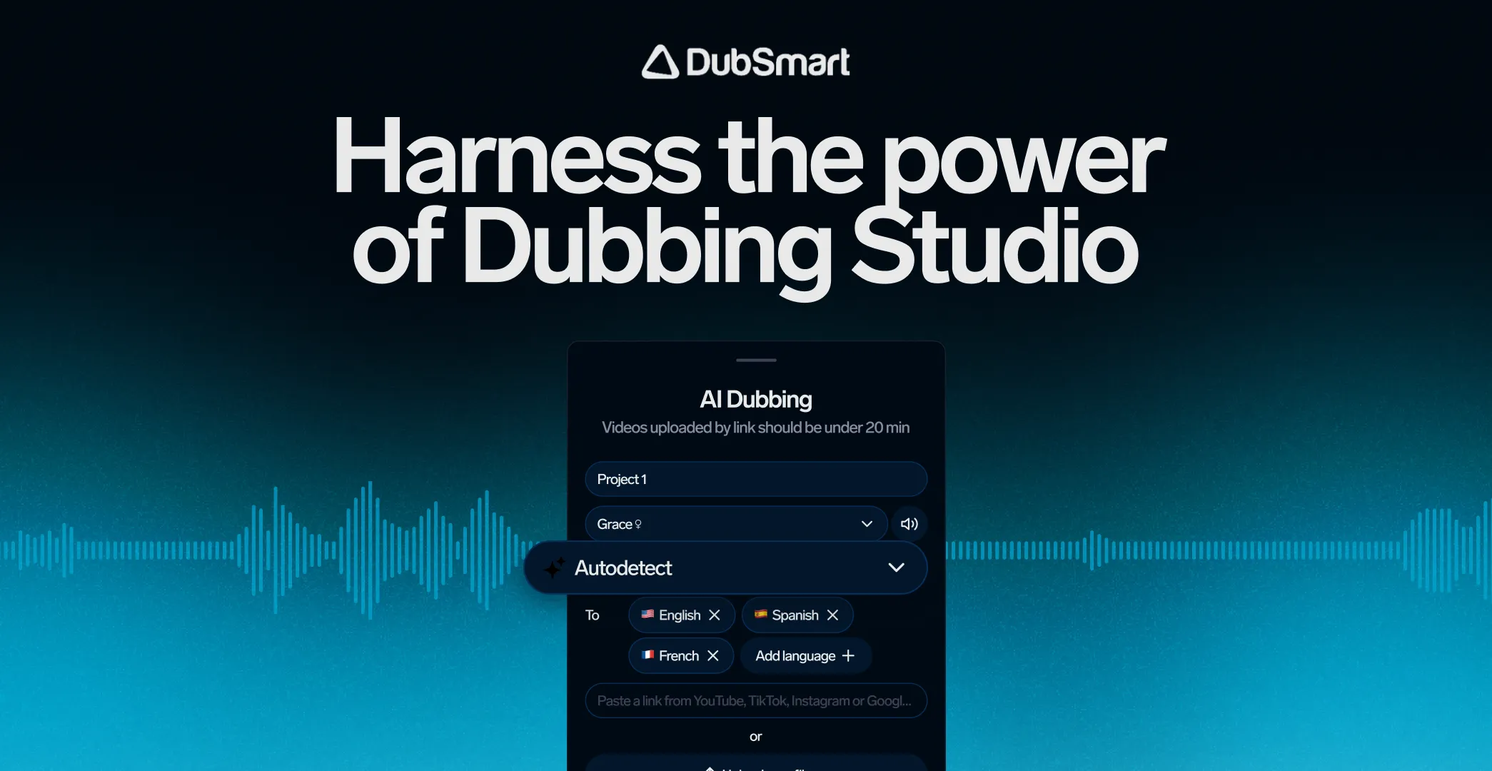 DubSmart